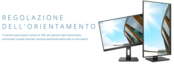 monitor ruotabile