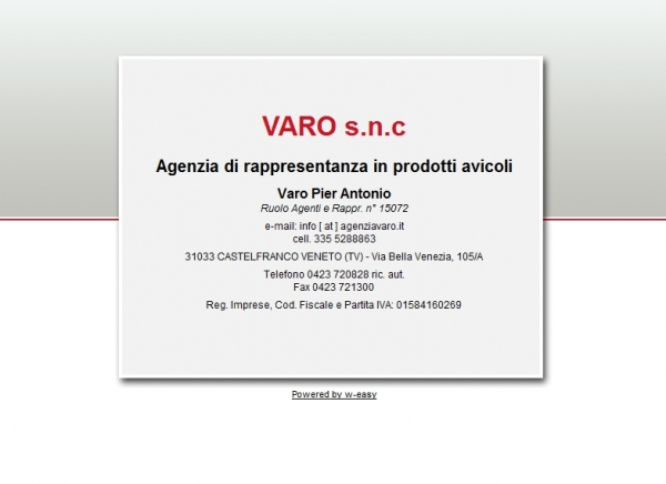 un esempio di sito economico per agenzia varo